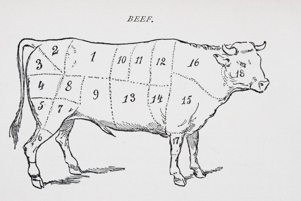 18種類の異なる肉の部位を示す印を付けた去勢牛の図